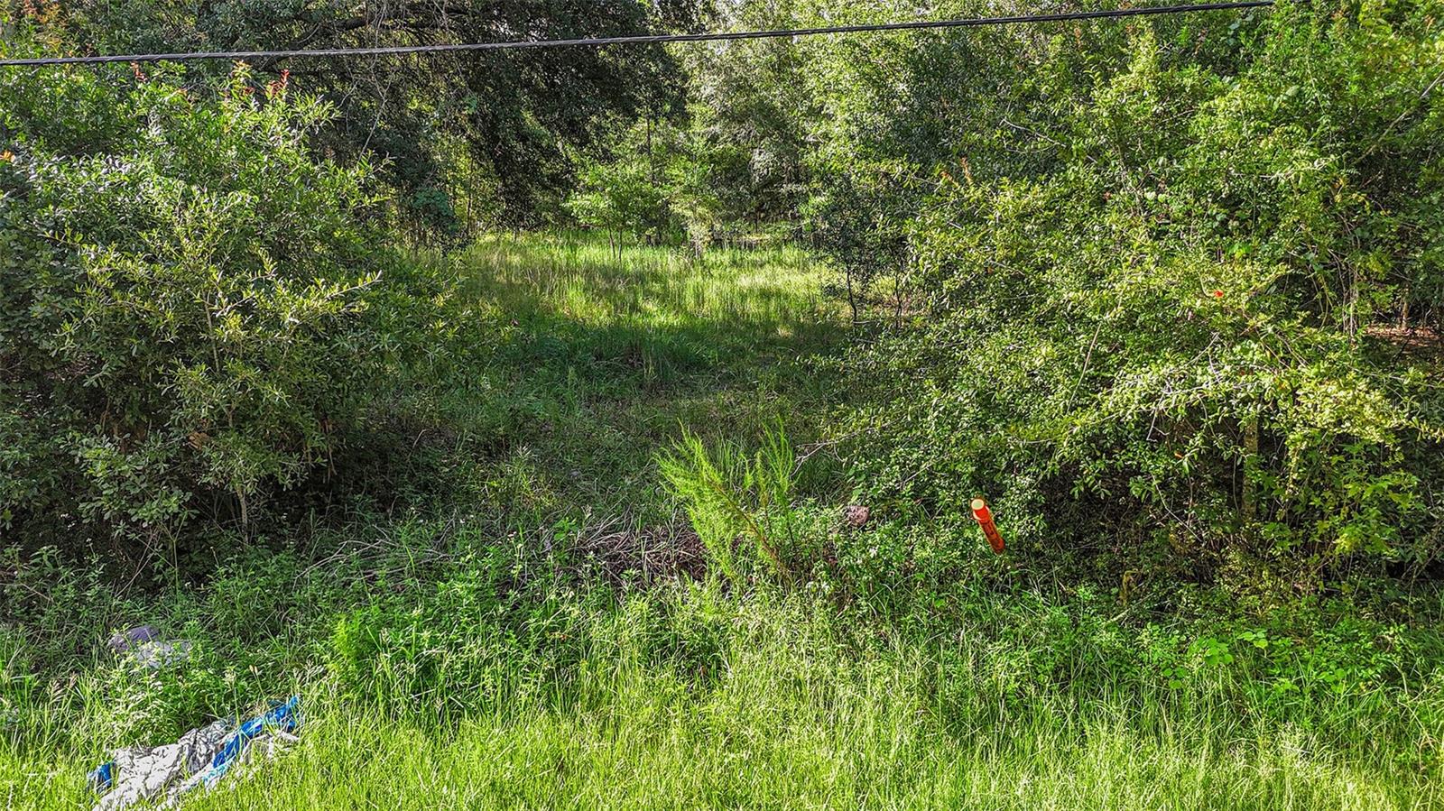 Image 3 of 12 For 26148 Foamflower Boulevard