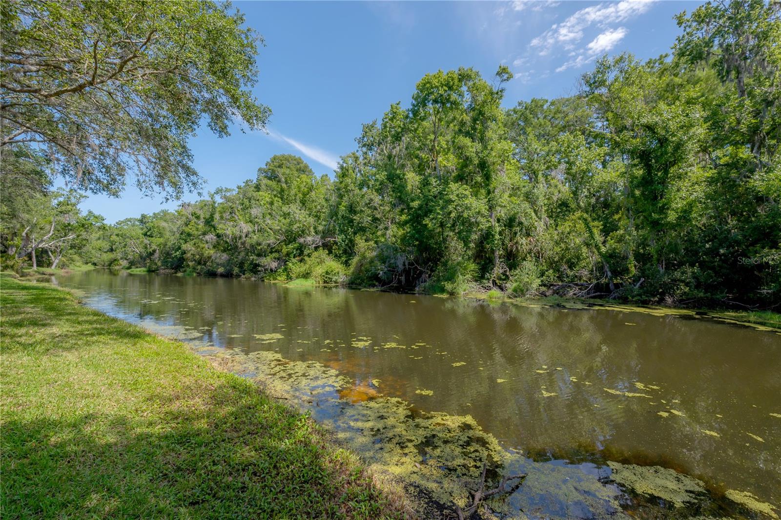 Image 33 of 40 For 4347 Brooker Creek Drive