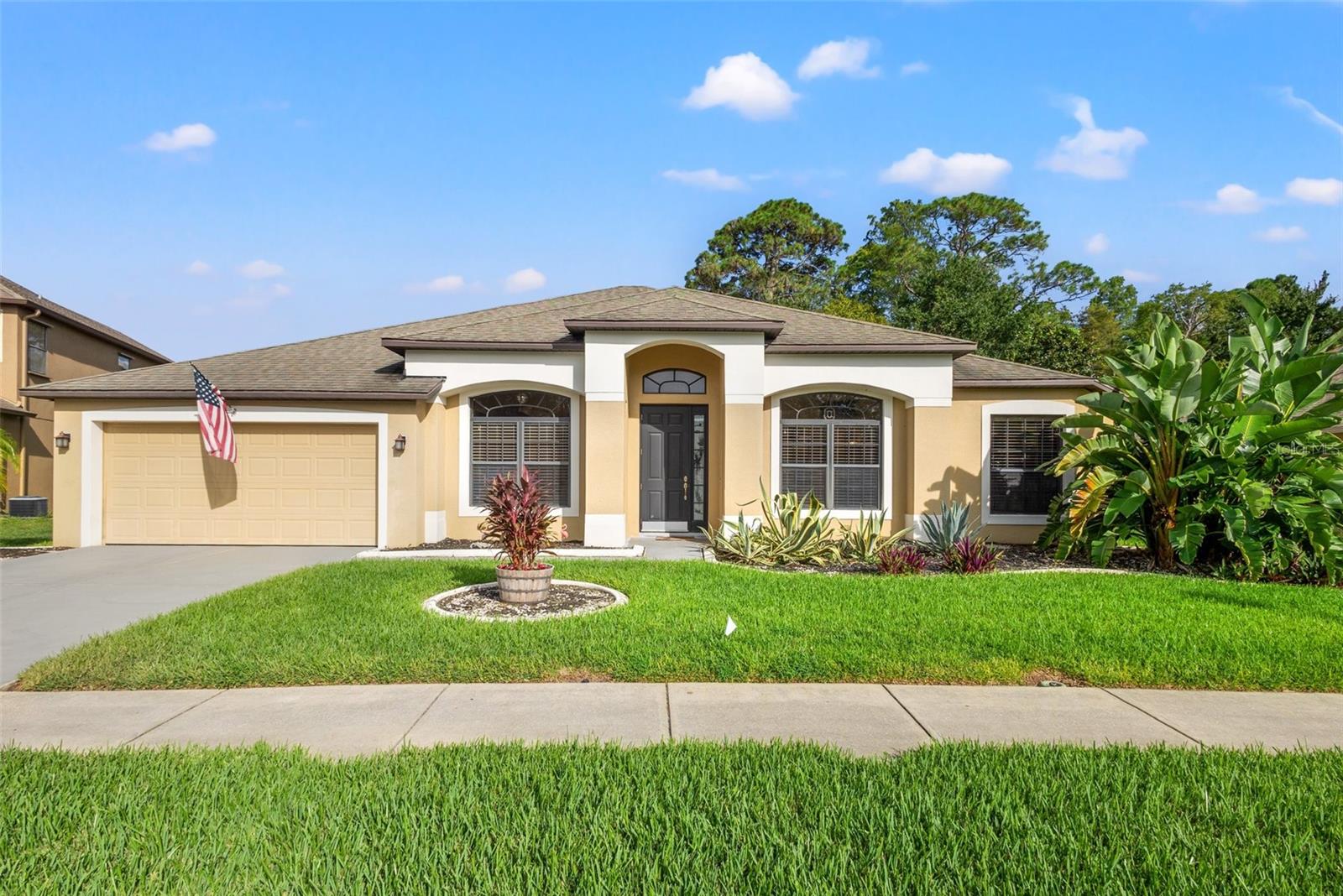 Details for 10918 Rain Lilly Pass, LAND O LAKES, FL 34638