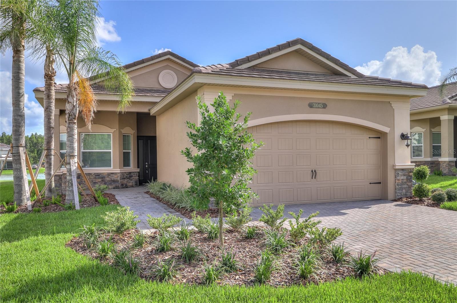 Details for 31045 Lindentree Drive, WESLEY CHAPEL, FL 33543