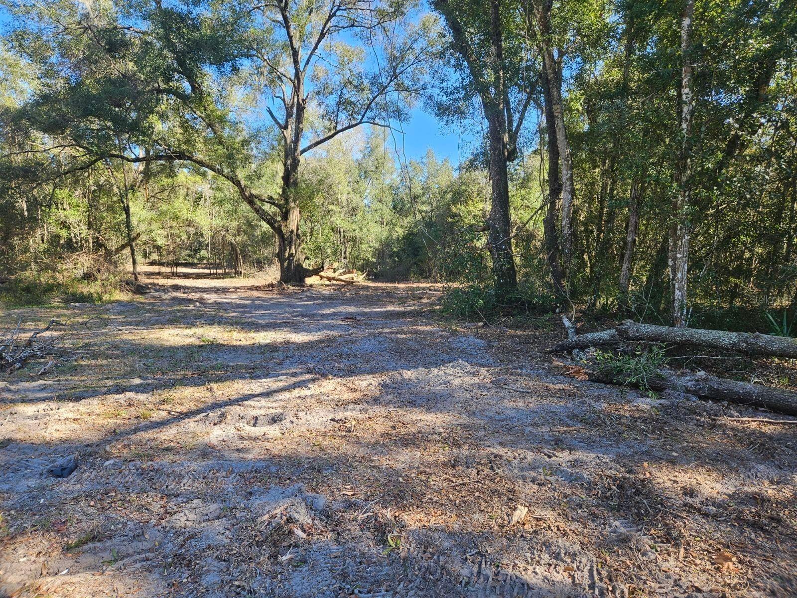 Details for 00 23th  , CITRA, FL 32113