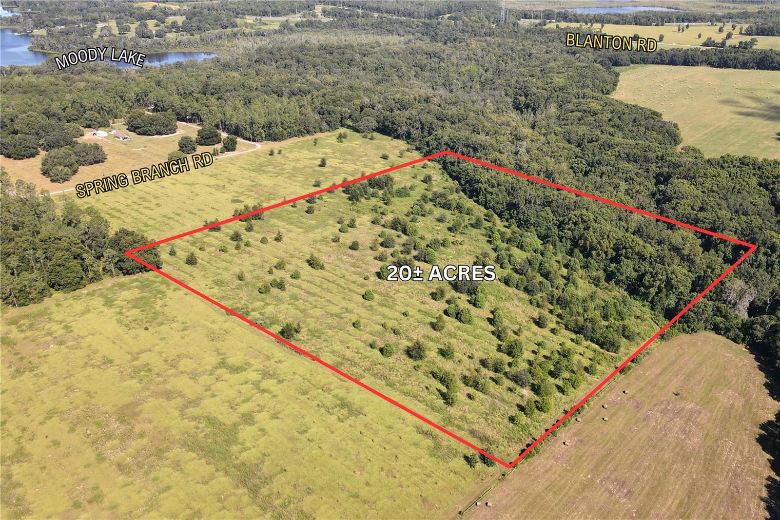 Details for Spring Branch Road, DADE CITY, FL 33523