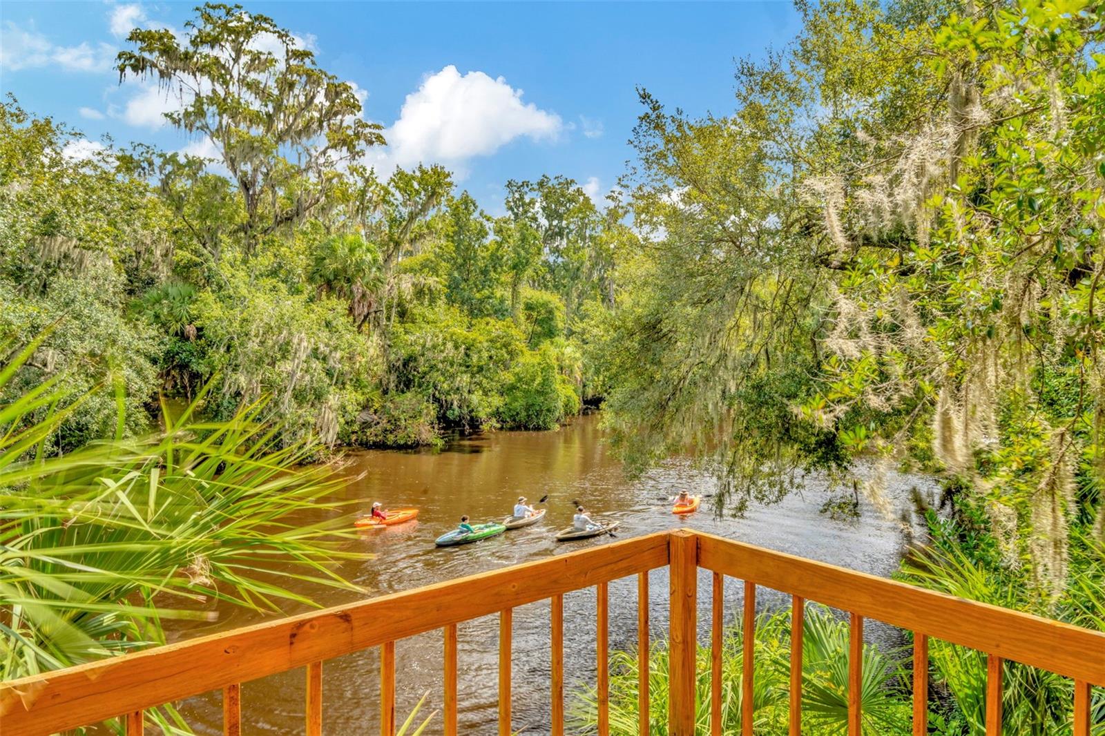 Listing photo id 42 for 7242 Alafia Ridge Loop