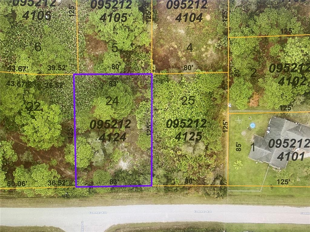 Listing Details for Lot 24 Cammer Avenue, NORTH PORT, FL 34291