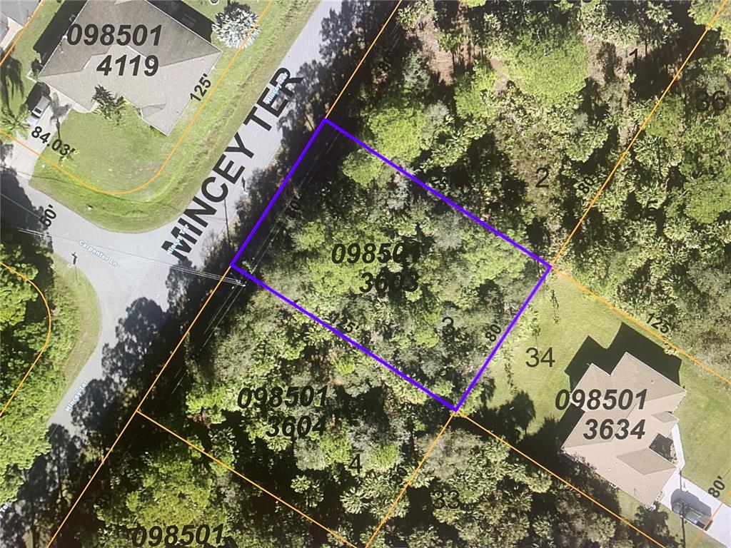 Listing Details for Lot 3 Mincey Terrace, NORTH PORT, FL 34286