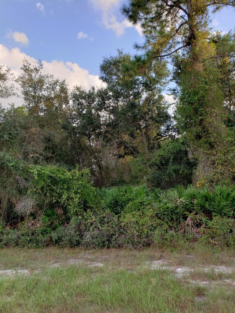 Image 18 of 20 For 21035 Hillsborough Boulevard