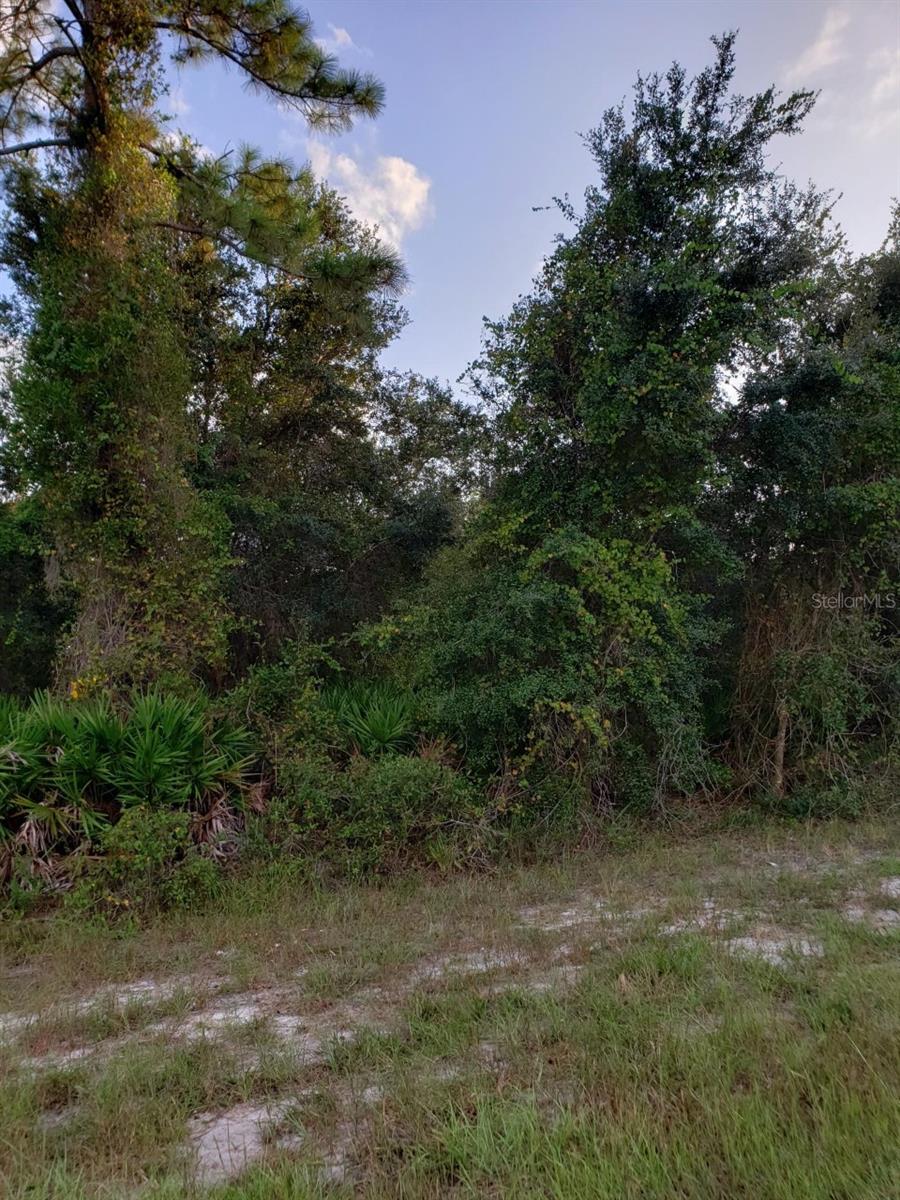 Image 19 of 20 For 21035 Hillsborough Boulevard