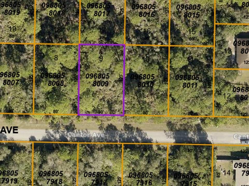 Listing Details for Lot 9 Cantor Avenue, NORTH PORT, FL 34291