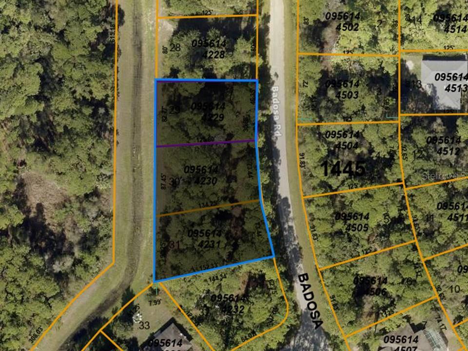 Listing Details for Lots 29, 30 & 31 Badosa Road, NORTH PORT, FL 34286