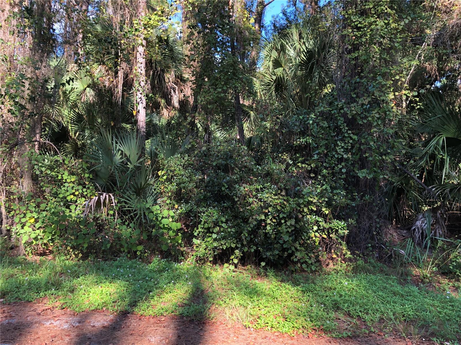 Image 2 of 6 For  Daphne Road 