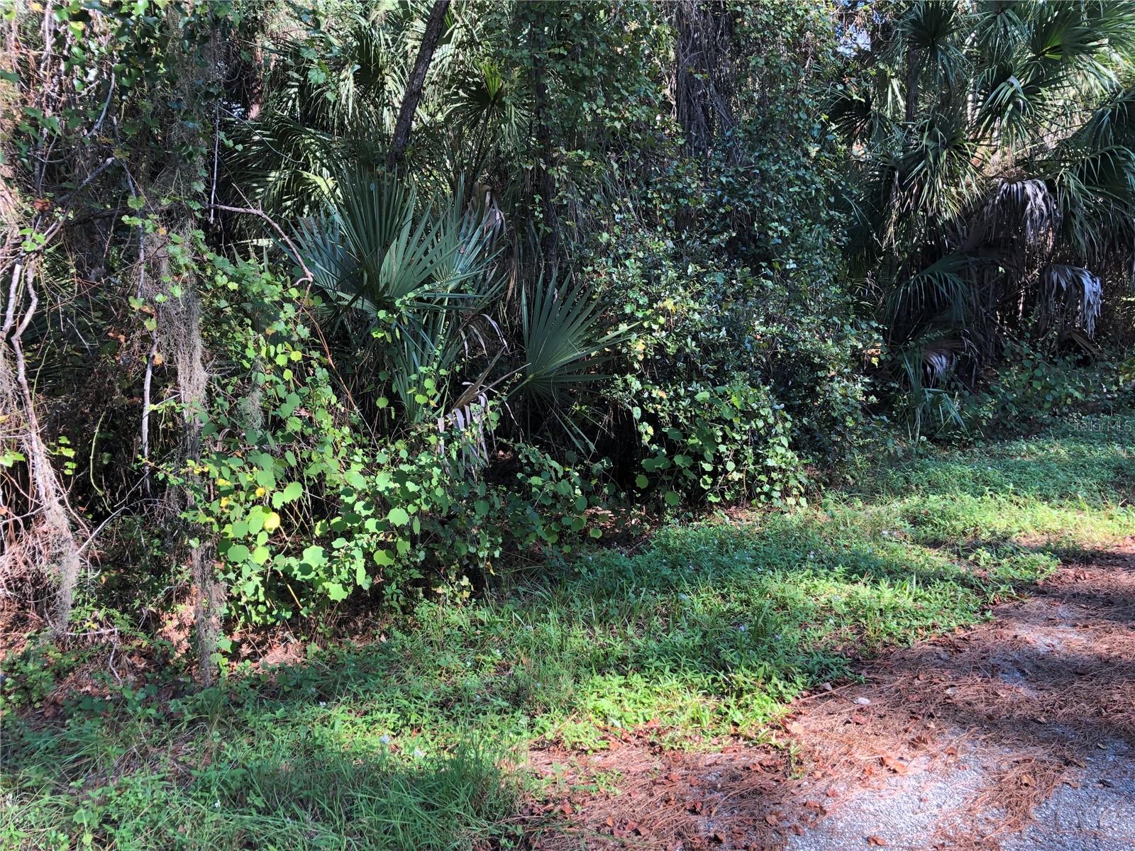 Image 4 of 6 For  Daphne Road 