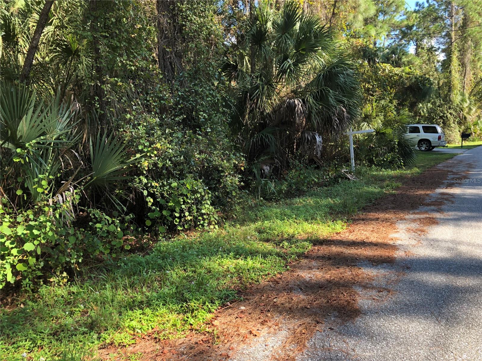 Image 5 of 6 For  Daphne Road 