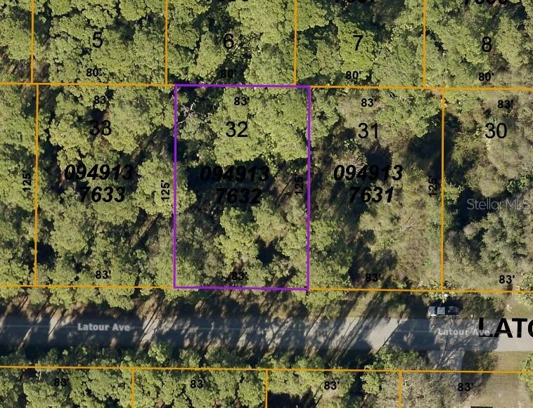 Listing Details for Lot 32 Latour Avenue, NORTH PORT, FL 34291