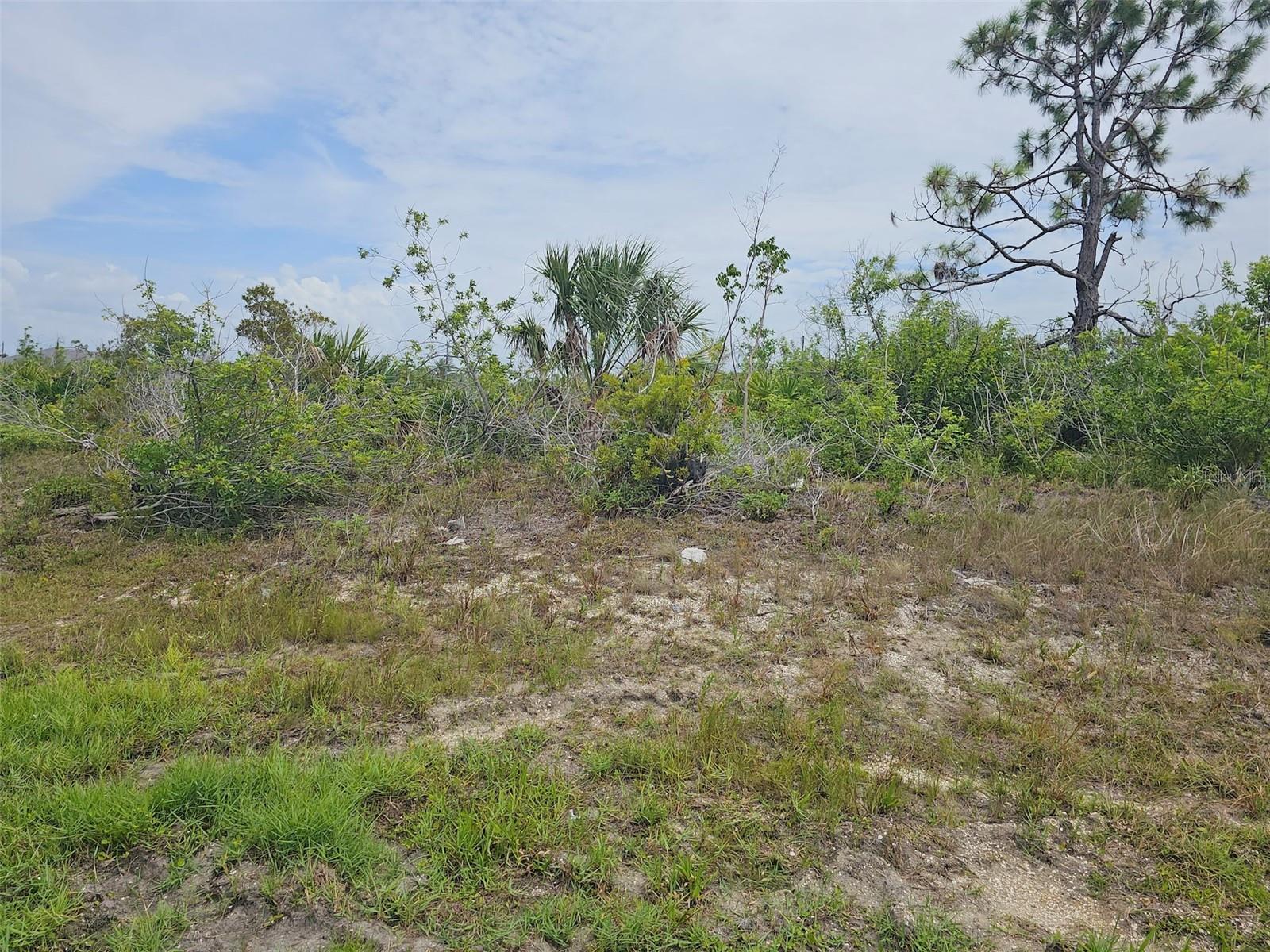 Image 2 of 6 For 15093 Acorn Circle