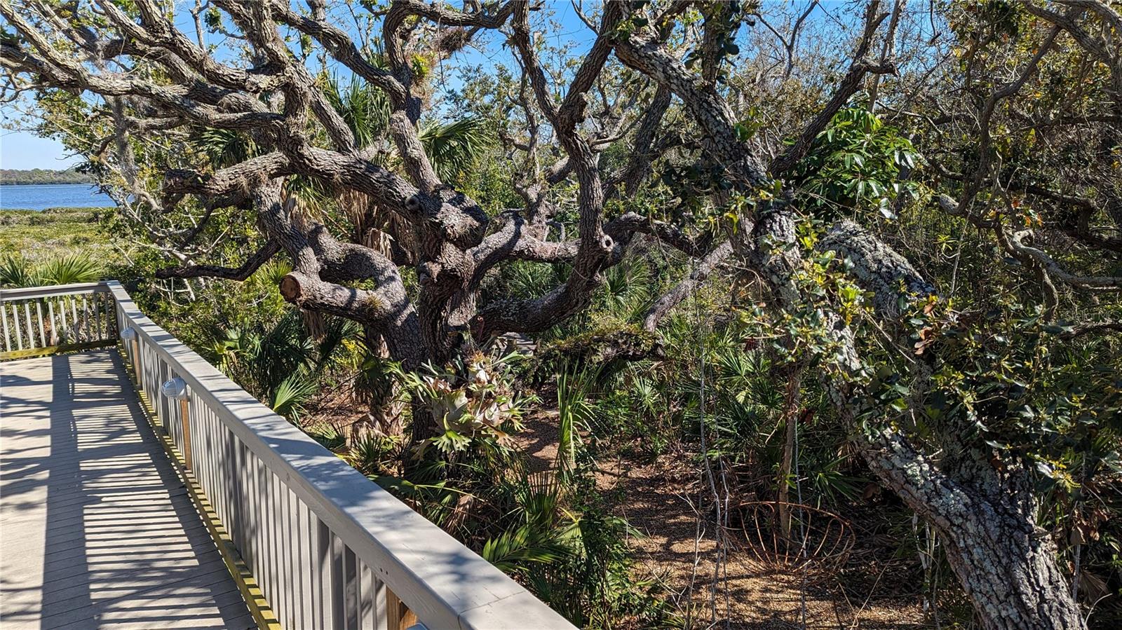 Image 51 of 76 For 7475 Manasota Key Road