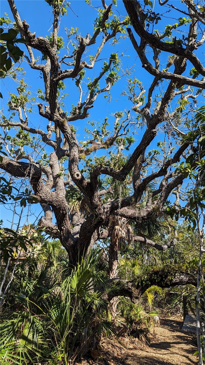 Image 58 of 76 For 7475 Manasota Key Road