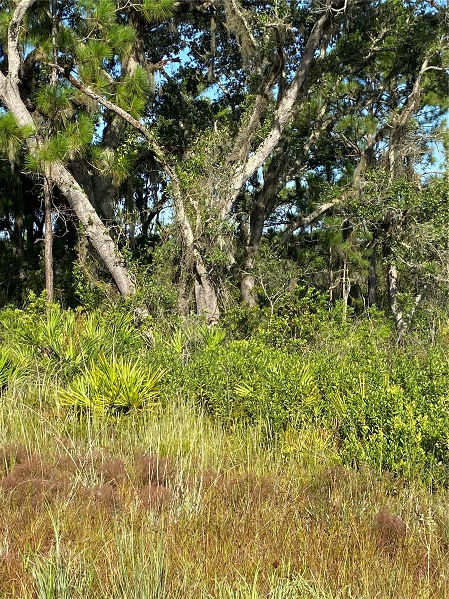 Listing Details for 4210 Attaway Lane, PORT CHARLOTTE, FL 33981