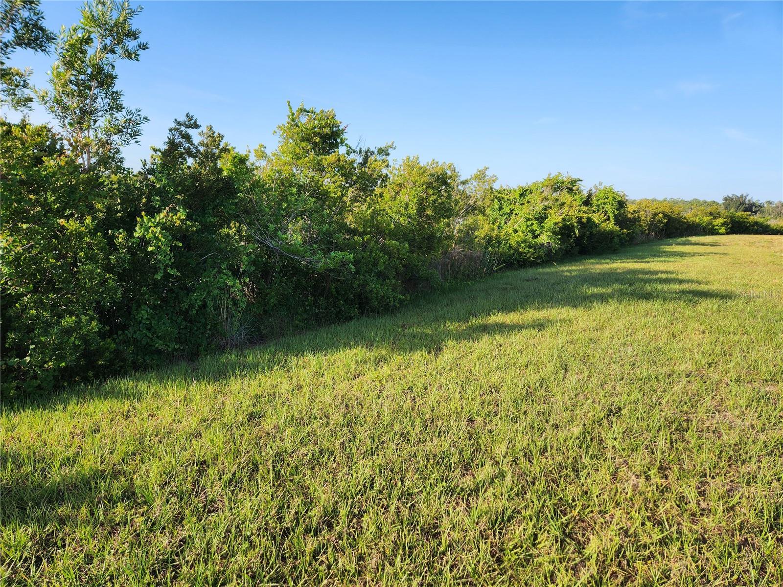 Image 6 of 9 For 18 Jessamine Way