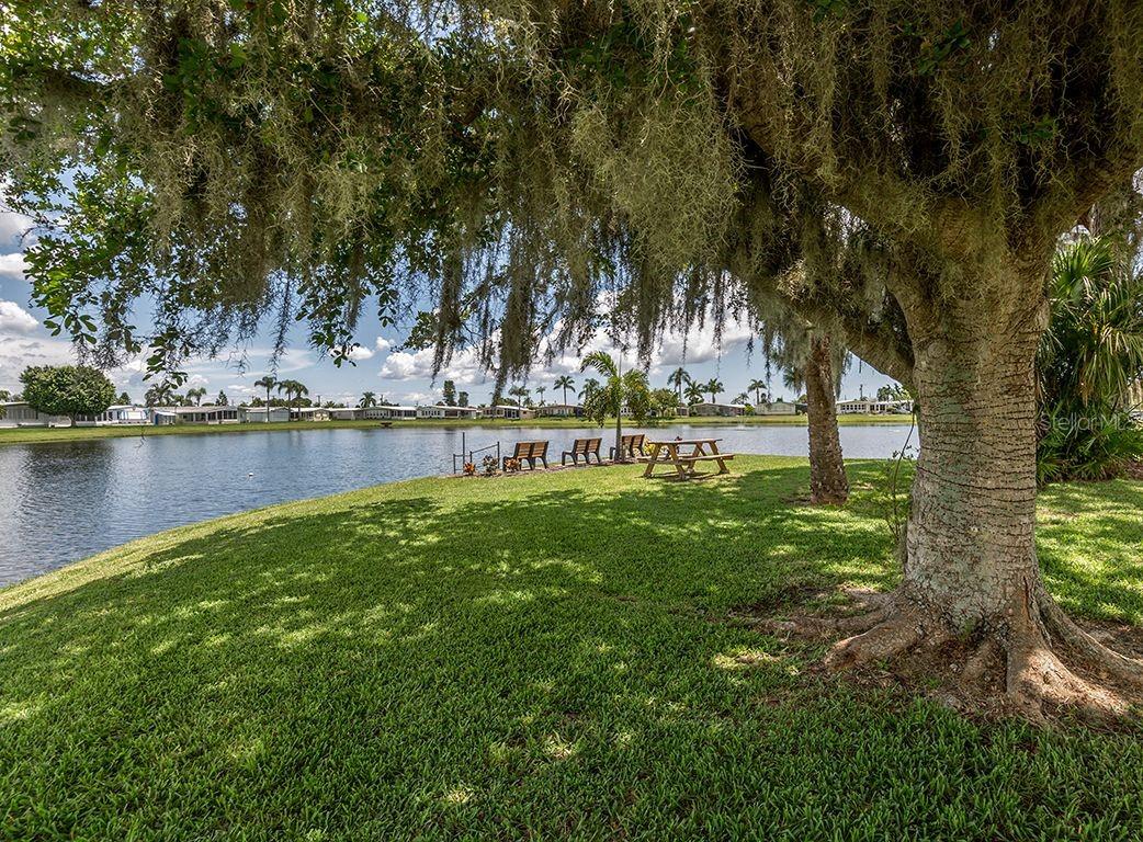 Image 45 of 56 For 257 Palm Harbor Drive