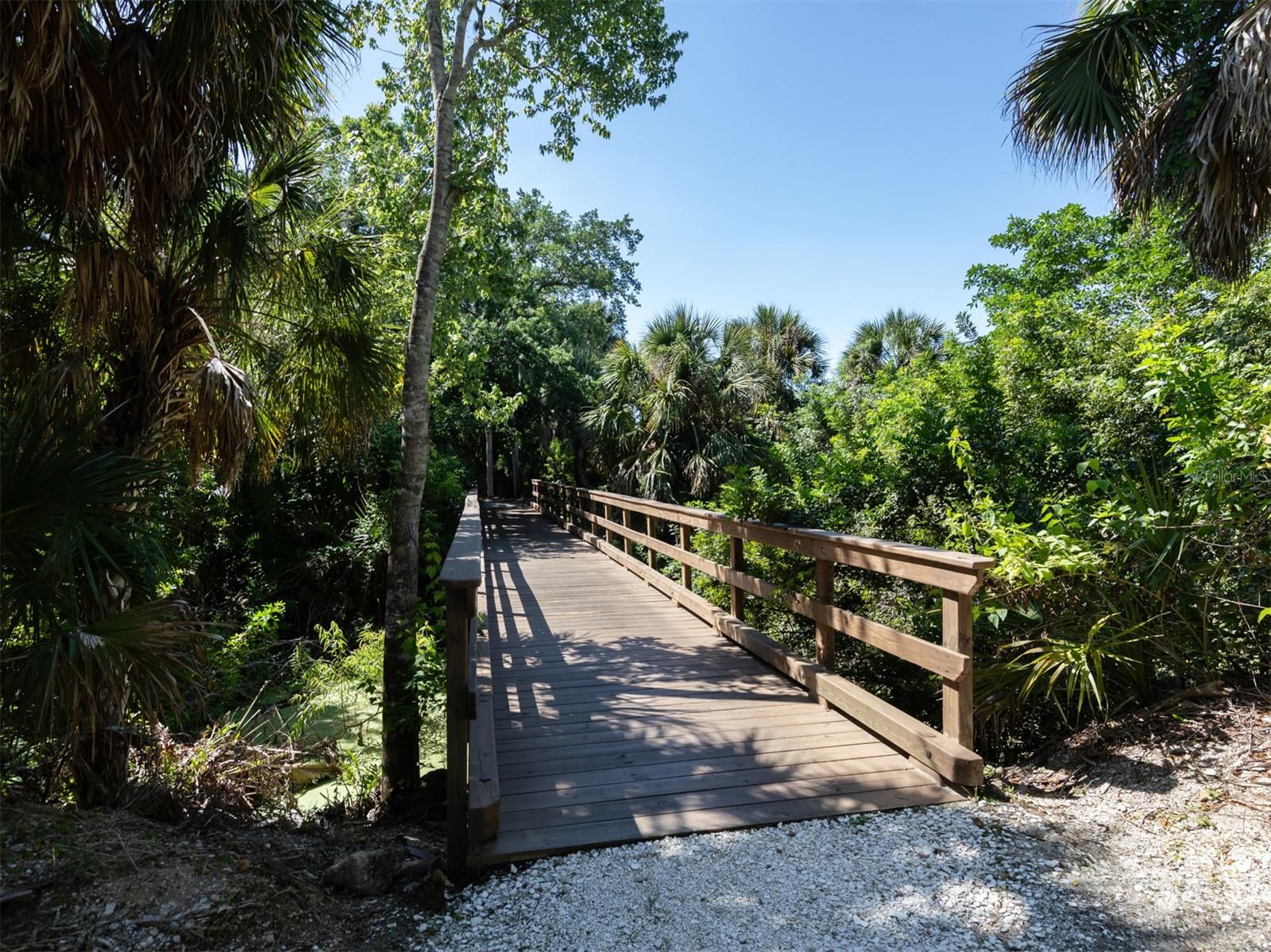 Listing photo id 32 for 523 Sawgrass Bridge Road