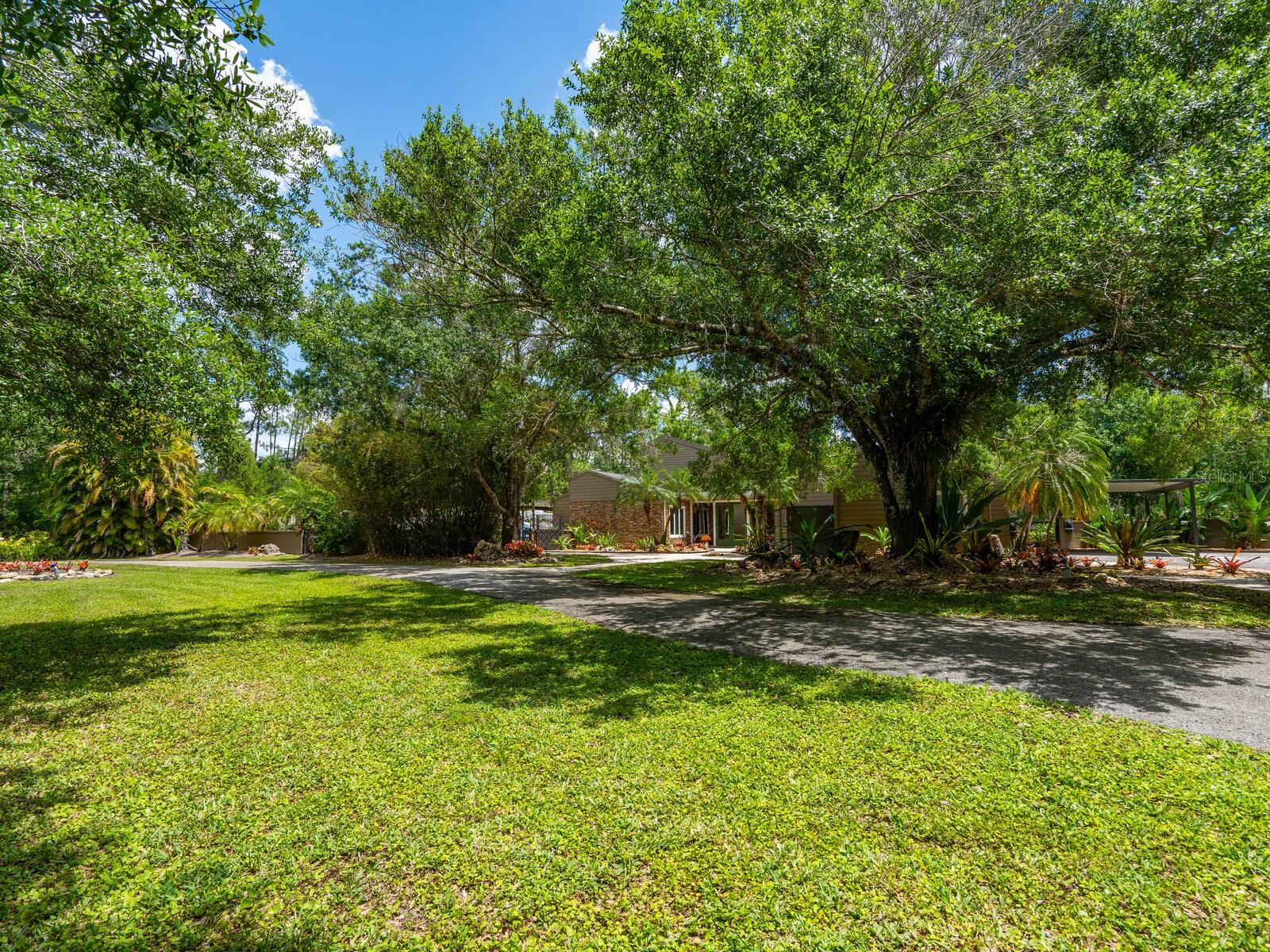 Listing photo id 71 for 6301 Gator Creek Boulevard