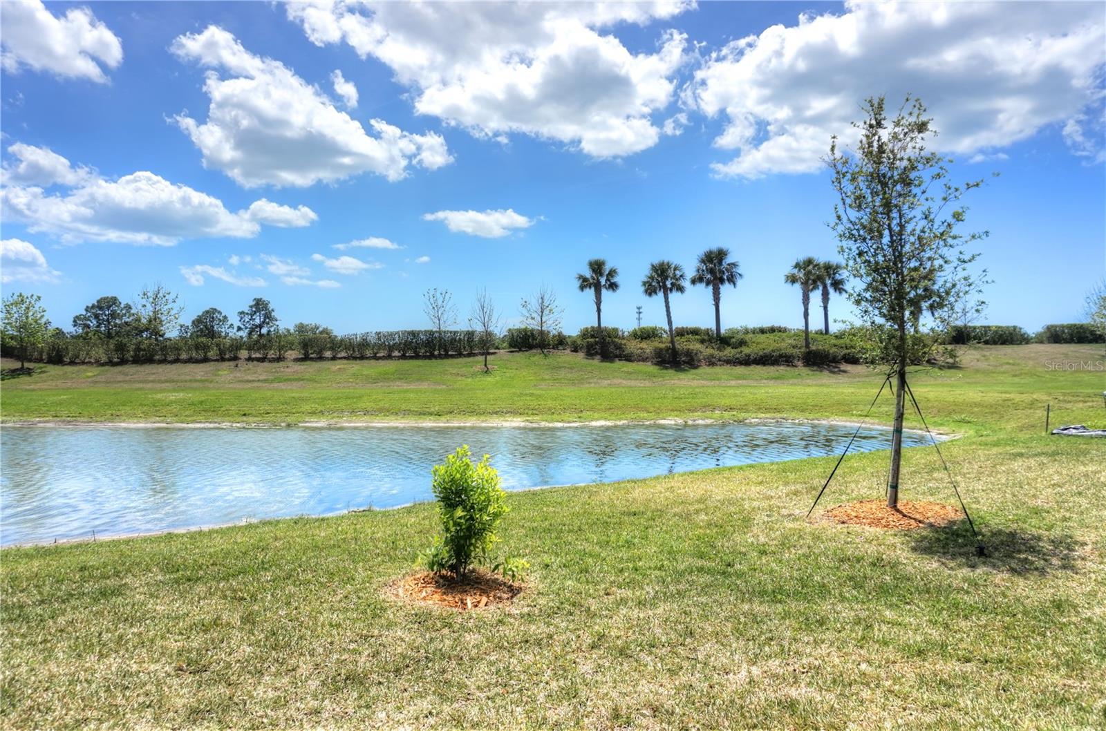 Image 18 of 38 For 24273 Spartina Drive