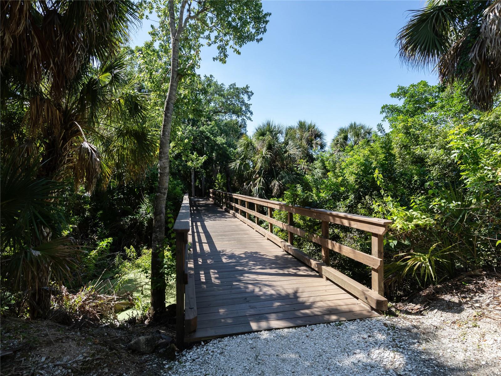 Listing photo id 47 for 588 Sawgrass Bridge Road