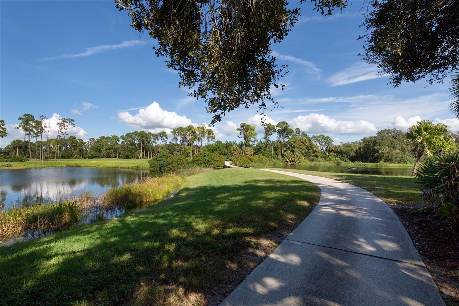 Listing photo id 53 for 588 Sawgrass Bridge Road