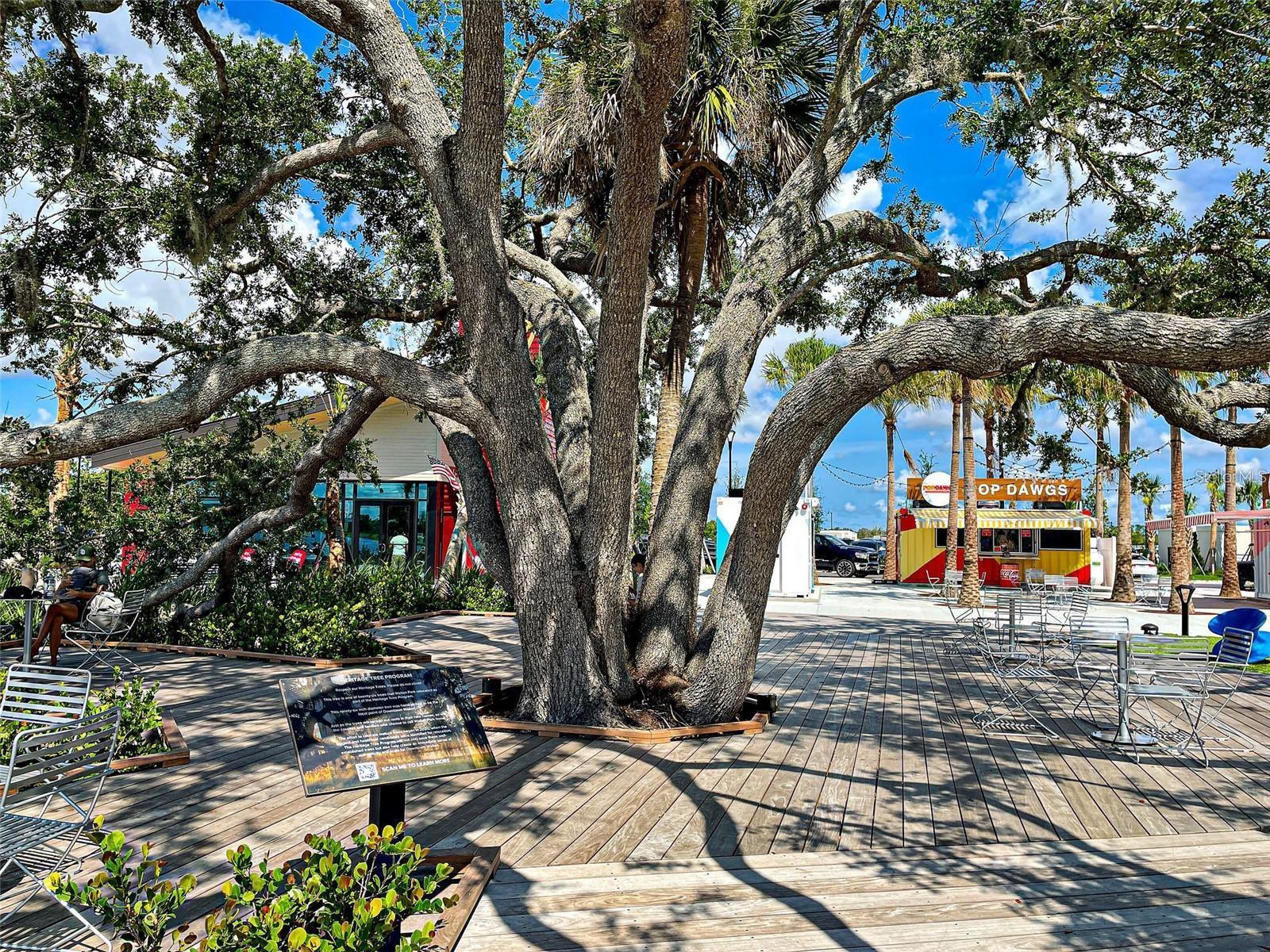 Image 92 of 98 For 19225 Jacinda Street