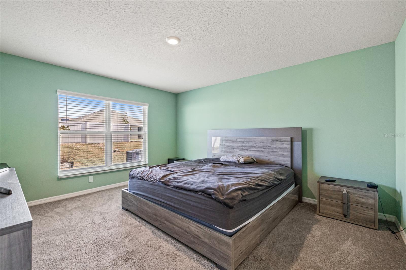 Image 11 of 32 For 16766 Carlton Pond Street