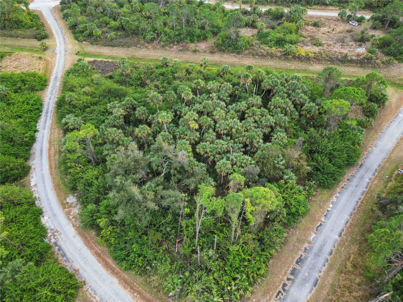 Image 2 of 21 For Canyon Terrace