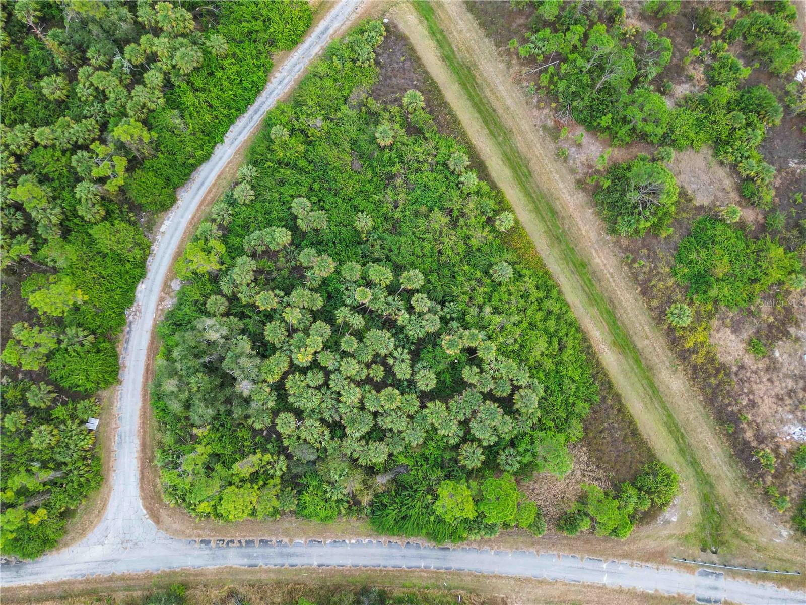 Image 6 of 21 For Canyon Terrace