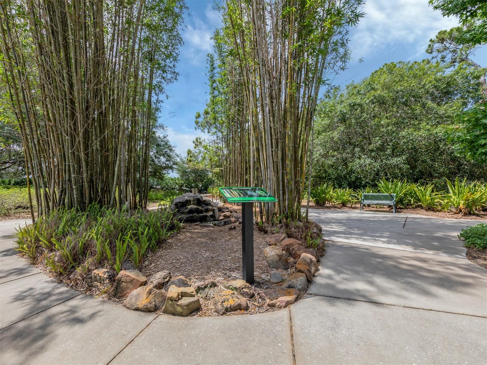 Image 60 of 74 For 4060 Barbary Lane