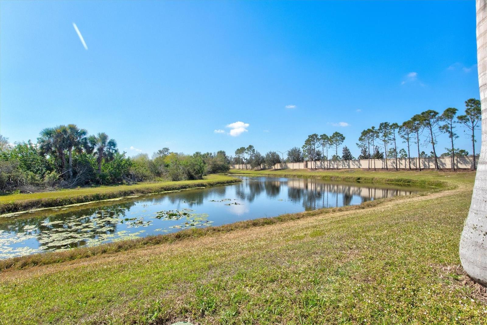 Image 35 of 83 For 351 Carlino Drive