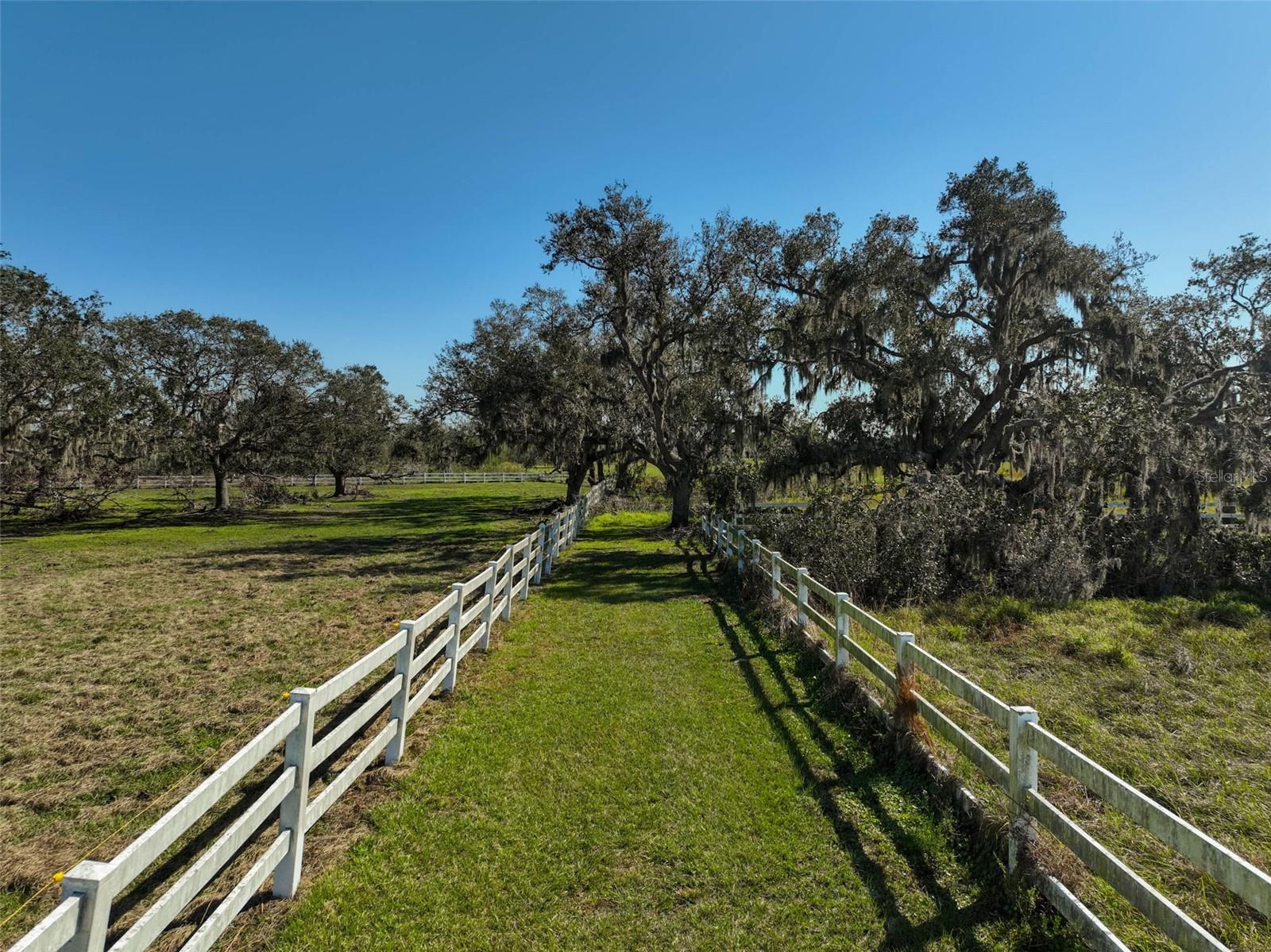 Image 10 of 10 For Aa Cutting Horse Trail