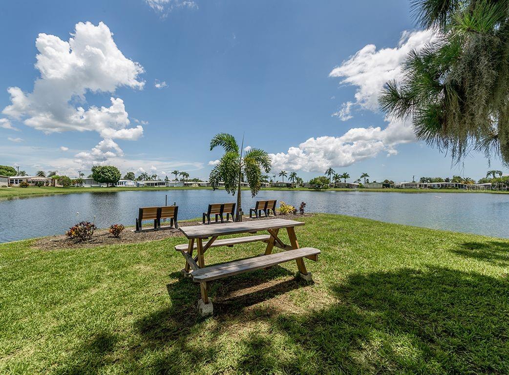Image 56 of 66 For 199 Palm Harbor Drive