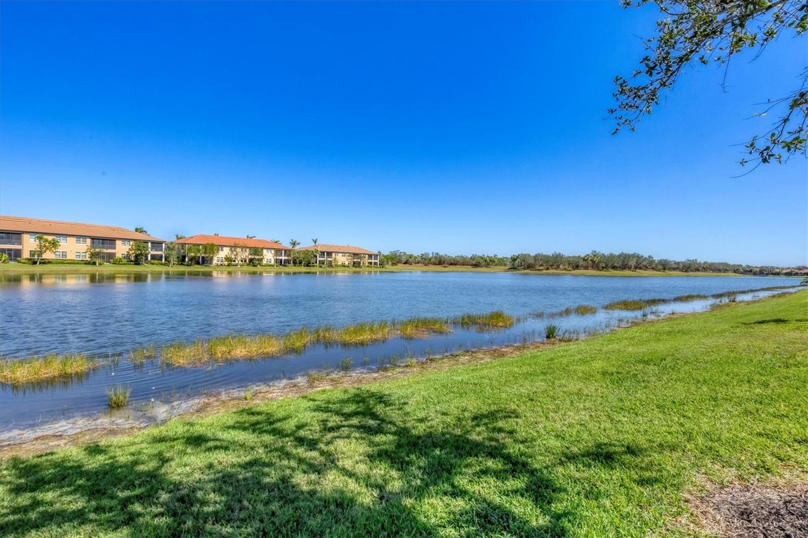 Image 46 of 73 For 10412 Crooked Creek Drive
