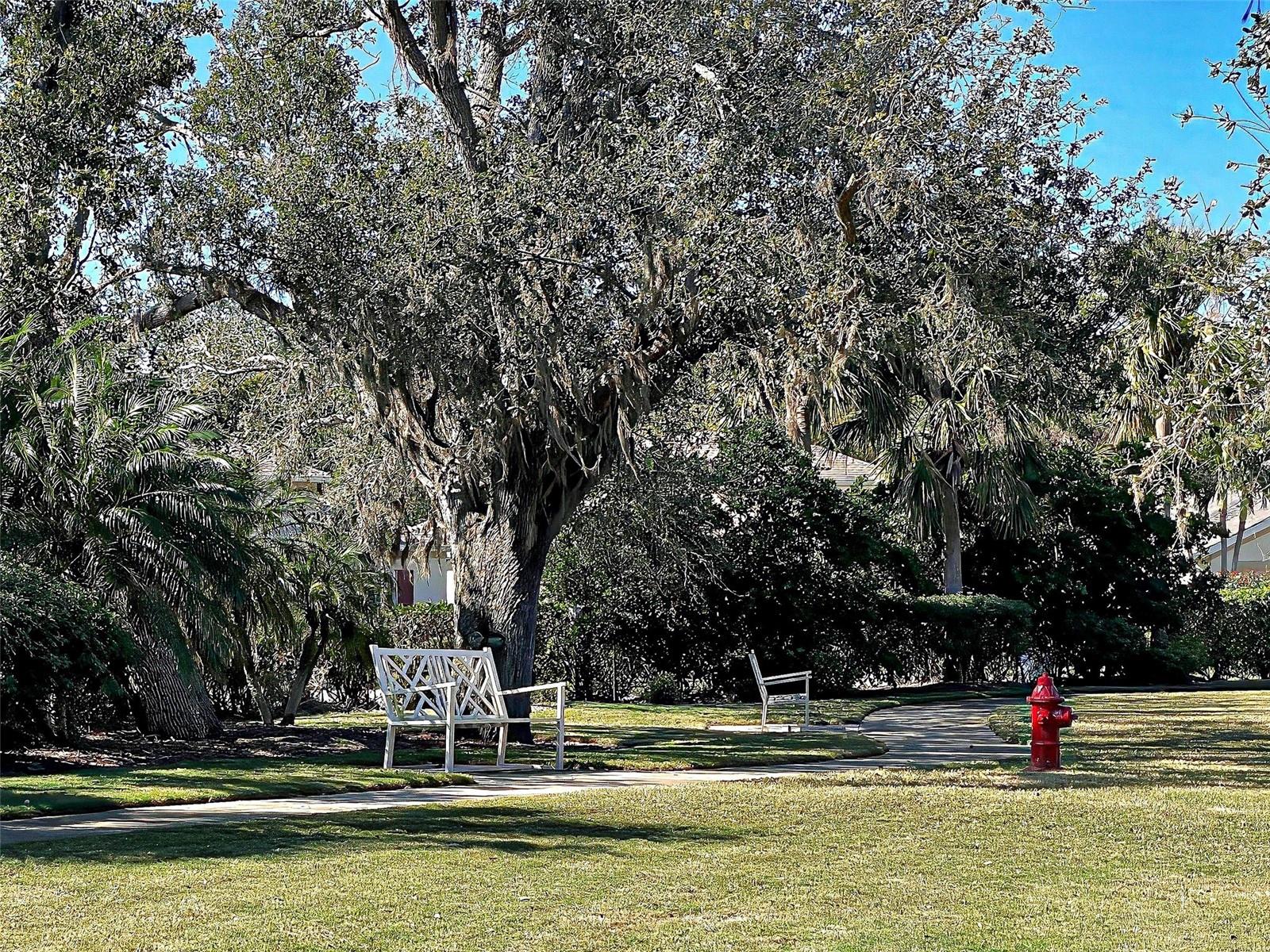 Image 66 of 71 For 117 Altesino Court