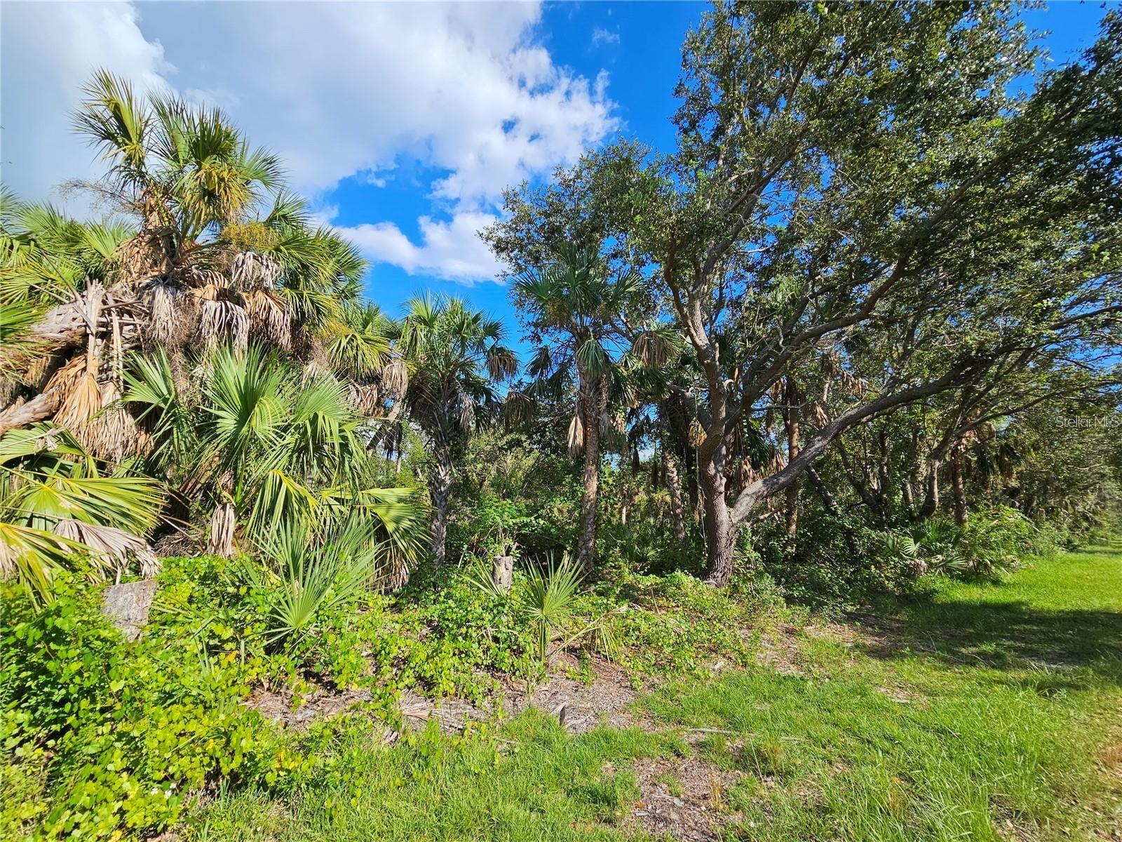 Image 3 of 3 For 3278 Century Street