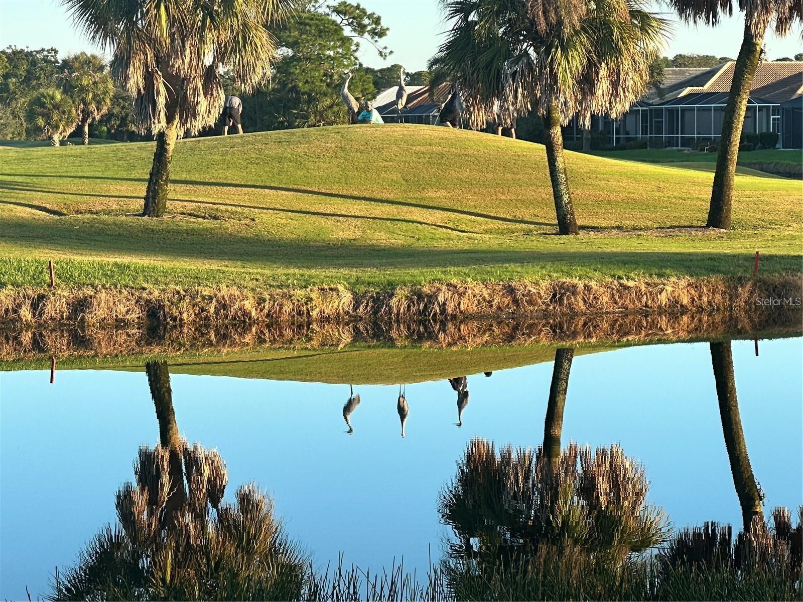 Image 55 of 67 For 651 Back Nine Drive