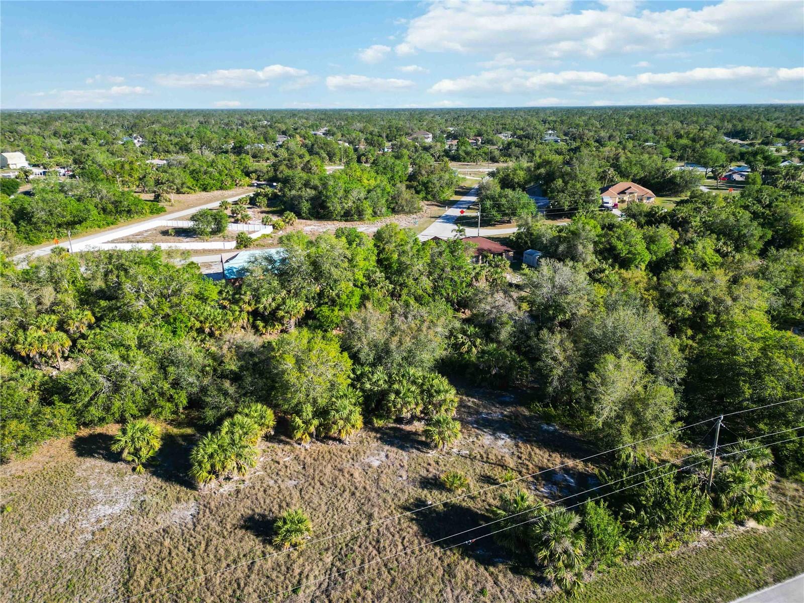Image 10 of 21 For 145 Theresa Boulevard
