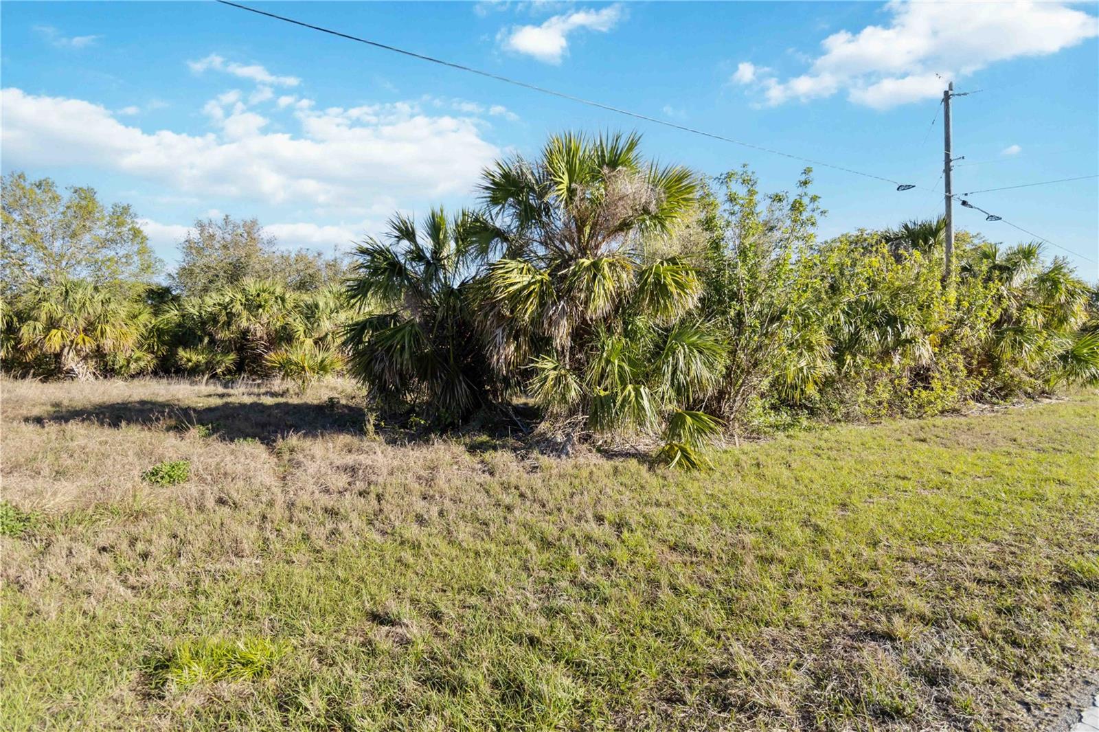 Image 6 of 21 For 145 Theresa Boulevard
