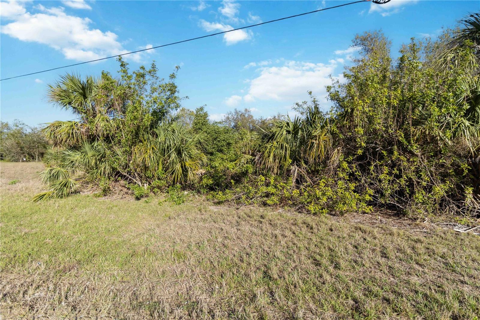 Image 8 of 21 For 145 Theresa Boulevard