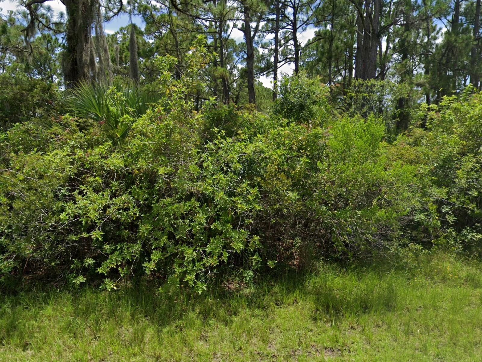 Image 3 of 11 For 12345 Greenleaf Lane