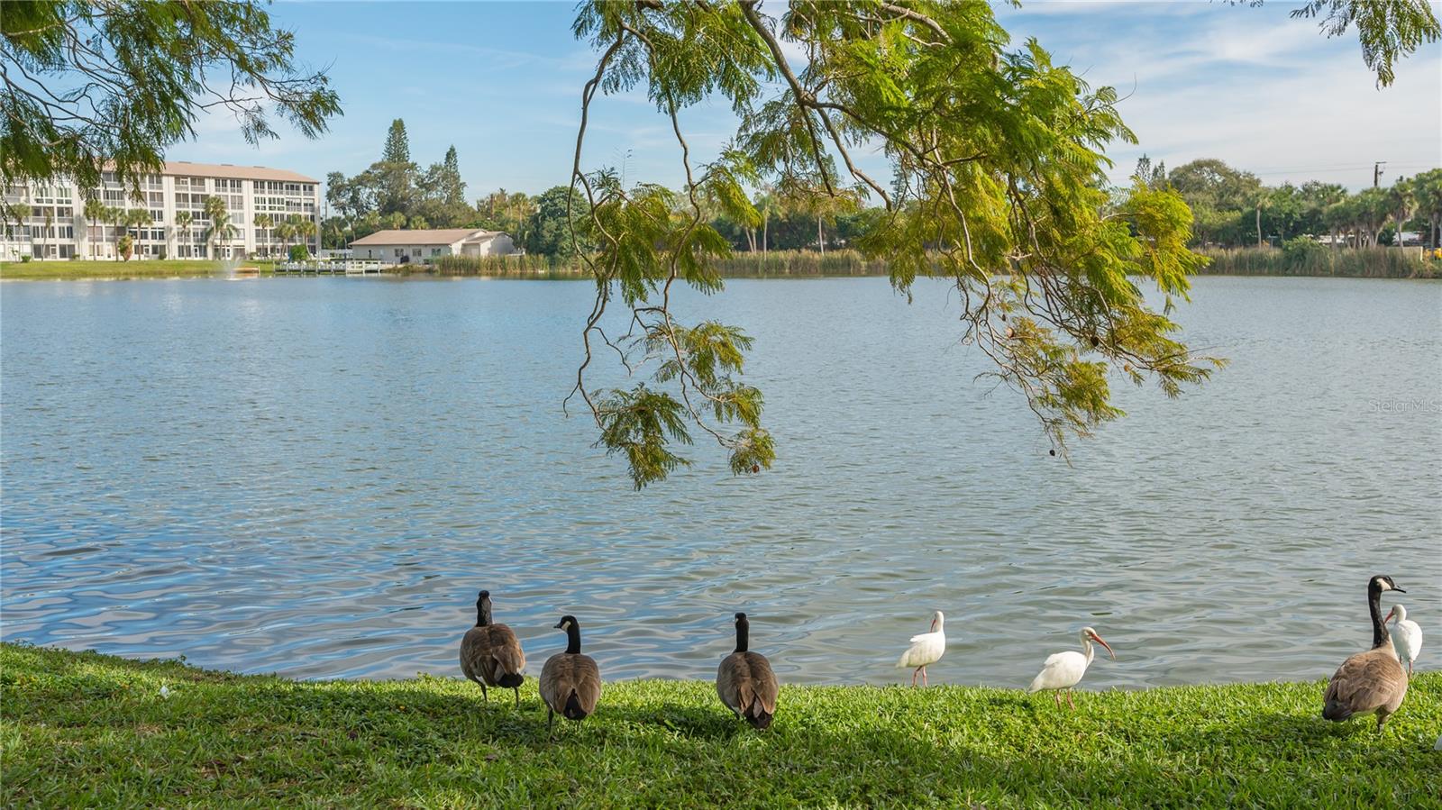 Image 35 of 37 For 3845 Lake Bayshore Drive F103