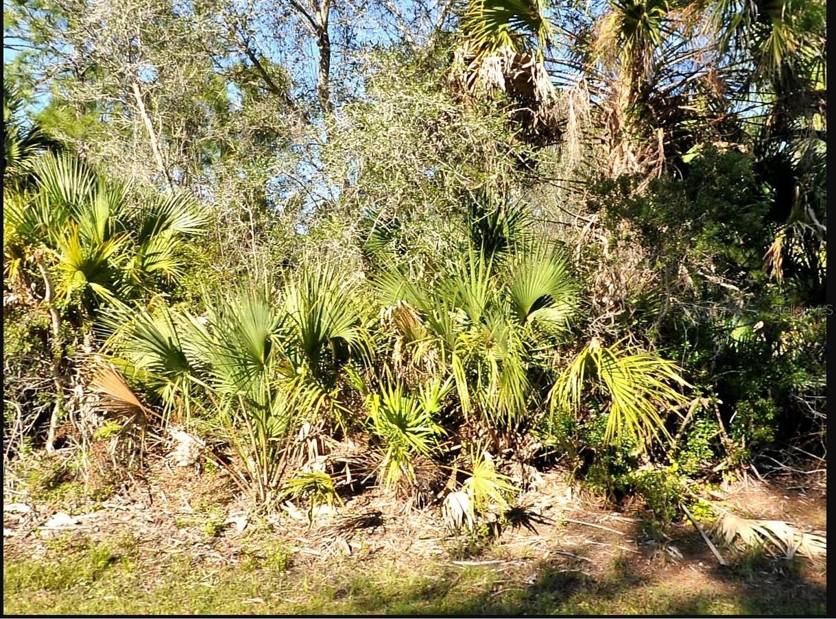 Details for Wild Goose Drive, NORTH PORT, FL 34291