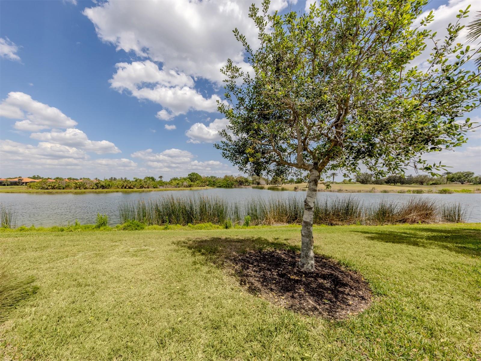 Listing photo id 27 for 177 Treviso Court
