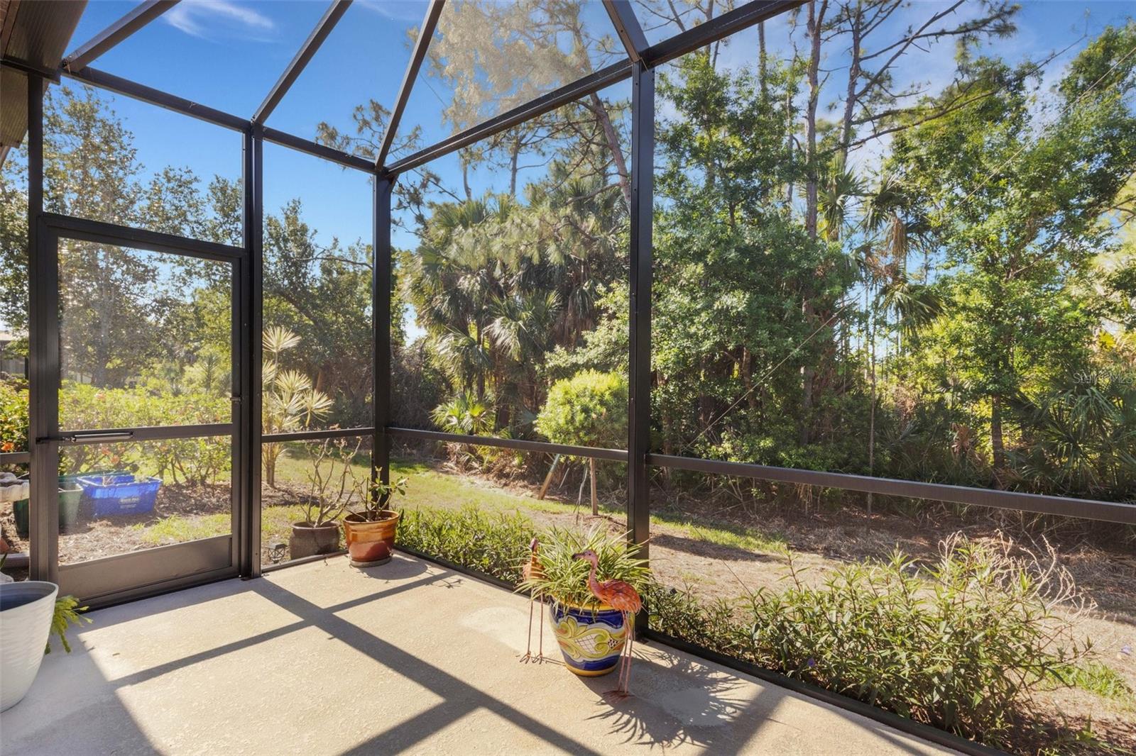 Image 38 of 79 For 11007 Batello Drive