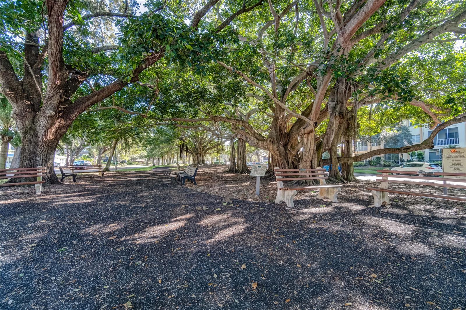 Image 68 of 98 For 269 Southampton Drive 303