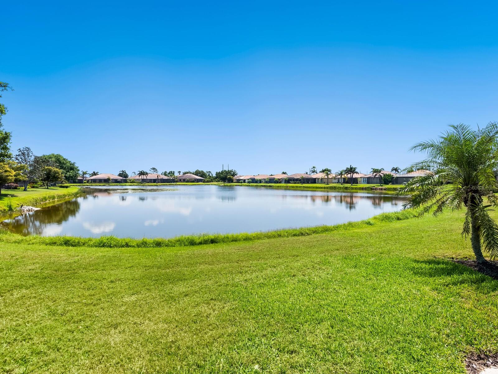 Image 25 of 38 For 11343 Bertolini Drive
